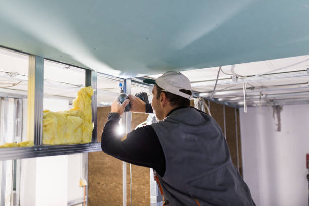 Best Eco-Friendly Insulation in Wofford Heights, CA