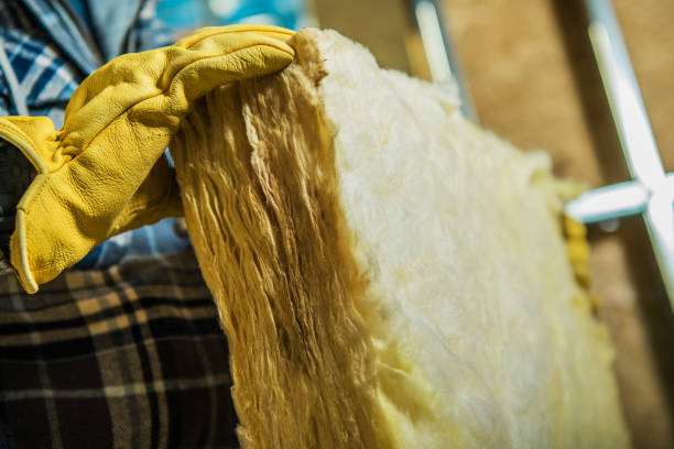 Types of Insulation We Offer in Wofford Heights, CA