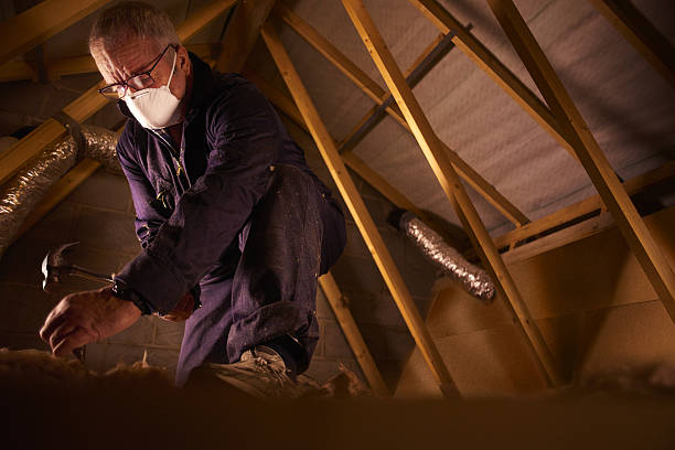 Best Insulation Maintenance and Repair in Wofford Heights, CA